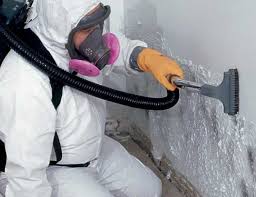 Best Asbestos and Lead Testing During Mold Inspection  in Parksdale, CA